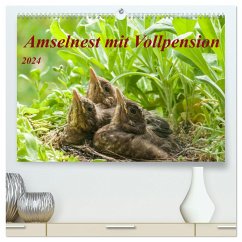 Amselnest mit Vollpension (hochwertiger Premium Wandkalender 2024 DIN A2 quer), Kunstdruck in Hochglanz - Waurick, Kerstin