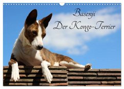 Basenji, der Kongo-Terrier (Wandkalender 2024 DIN A3 quer), CALVENDO Monatskalender