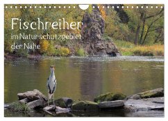 Der Fischreiher im Naturschutzgebiet der Nahe (Wandkalender 2024 DIN A4 quer), CALVENDO Monatskalender