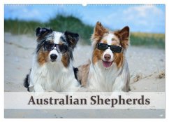 Wunderbare Australian Shepherds (Wandkalender 2024 DIN A2 quer), CALVENDO Monatskalender