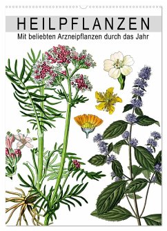 Heilpflanzen (Wandkalender 2024 DIN A2 hoch), CALVENDO Monatskalender - Reek, Babette