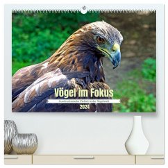 Vögel im Fokus - Ausdrucksstarke Vielfalt in der Vogelwelt (hochwertiger Premium Wandkalender 2024 DIN A2 quer), Kunstdruck in Hochglanz