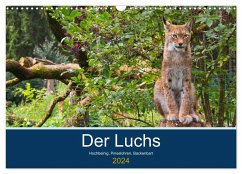 Der Luchs - Hochbeinig, Pinselohren, Backenbart (Wandkalender 2024 DIN A3 quer), CALVENDO Monatskalender