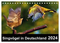 Singvögel in Deutschland (Tischkalender 2024 DIN A5 quer), CALVENDO Monatskalender - Klapp, Lutz