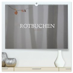 Rotbuchen (hochwertiger Premium Wandkalender 2024 DIN A2 quer), Kunstdruck in Hochglanz