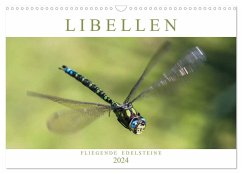 Libellen - Fliegende Edelsteine (Wandkalender 2024 DIN A3 quer), CALVENDO Monatskalender