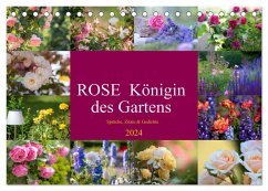 Rose Königin des Gartens (Tischkalender 2024 DIN A5 quer), CALVENDO Monatskalender