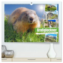 Großglockner wunderschöne Berg- und Tierwelt (hochwertiger Premium Wandkalender 2024 DIN A2 quer), Kunstdruck in Hochglanz