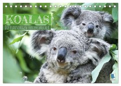 Koalas: die flauschigen Herzensbrecher (Tischkalender 2024 DIN A5 quer), CALVENDO Monatskalender - Calvendo