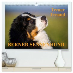 Treuer Freund Berner Sennenhund (hochwertiger Premium Wandkalender 2024 DIN A2 quer), Kunstdruck in Hochglanz