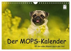 Der MOPS-Kalender (Wandkalender 2024 DIN A4 quer), CALVENDO Monatskalender