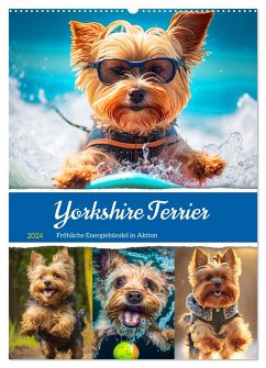 Yorkshire Terrier. Fröhliche Energiebündel in Aktion (Wandkalender 2024 DIN A2 hoch), CALVENDO Monatskalender