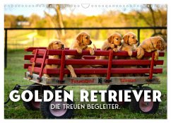 Golden Retriever - Die treuen Begleiter. (Wandkalender 2024 DIN A3 quer), CALVENDO Monatskalender