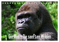 Gorillas - Die sanften Wilden (Tischkalender 2024 DIN A5 quer), CALVENDO Monatskalender