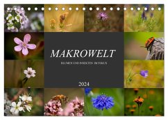 Makrowelt - Blumen und Insekten im Fokus (Tischkalender 2024 DIN A5 quer), CALVENDO Monatskalender - Mairhofer, Simone