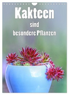 Kakteen sind besondere Pflanzen (Wandkalender 2024 DIN A4 hoch), CALVENDO Monatskalender - Brunner-Klaus, Liselotte