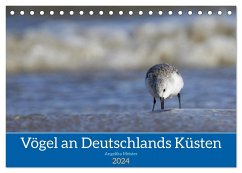 Vögel an Deutschlands Küsten (Tischkalender 2024 DIN A5 quer), CALVENDO Monatskalender