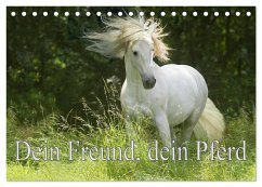Dein Freund, dein Pferd (Tischkalender 2024 DIN A5 quer), CALVENDO Monatskalender - Müller, Erika