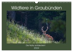 Wildtiere in Graubünden - Die Natur entdecken! (Wandkalender 2024 DIN A3 quer), CALVENDO Monatskalender