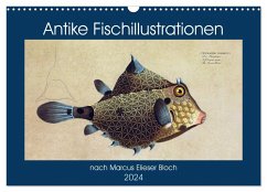 Antike Fischillustrationen nach Marcus Elieser Bloch (Wandkalender 2024 DIN A3 quer), CALVENDO Monatskalender