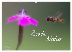 Zarte Natur 2024 (Wandkalender 2024 DIN A2 quer), CALVENDO Monatskalender