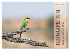 Birdlife - Vögel im südlichen Afrika (Wandkalender 2024 DIN A2 quer), CALVENDO Monatskalender - Trüssel, Silvia