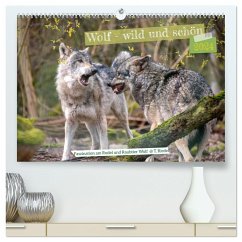 Wolf - wild und schön (hochwertiger Premium Wandkalender 2024 DIN A2 quer), Kunstdruck in Hochglanz