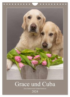 Grace und Cuba - Zwei liebenswerte Golden Retriever (Wandkalender 2024 DIN A4 hoch), CALVENDO Monatskalender
