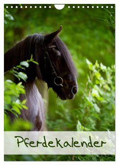Pferdekalender (Wandkalender 2024 DIN A4 hoch), CALVENDO Monatskalender