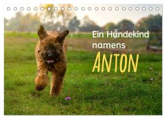 Ein Hundekind namens Anton (Tischkalender 2024 DIN A5 quer), CALVENDO Monatskalender - calmbacher, Christiane