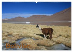 Bolivien (Wandkalender 2024 DIN A2 quer), CALVENDO Monatskalender