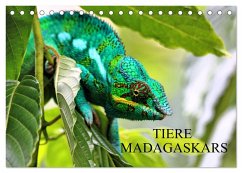Tiere Madagaskars (Tischkalender 2024 DIN A5 quer), CALVENDO Monatskalender