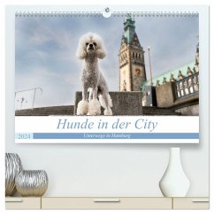 Hunde in der City - Unterwegs in Hamburg (hochwertiger Premium Wandkalender 2024 DIN A2 quer), Kunstdruck in Hochglanz