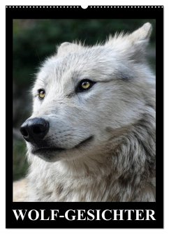 Wolf-Gesichter (Wandkalender 2024 DIN A2 hoch), CALVENDO Monatskalender - Stanzer, Elisabeth