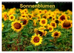 Sonnenblumen (Wandkalender 2024 DIN A3 quer), CALVENDO Monatskalender