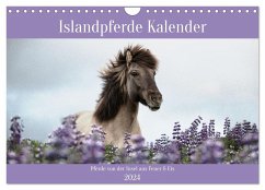 Islandpferde Kalender (Wandkalender 2024 DIN A4 quer), CALVENDO Monatskalender