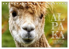 Alpaka, coole Typen mit wilden Frisuren (Tischkalender 2024 DIN A5 quer), CALVENDO Monatskalender - Löwer, Sabine