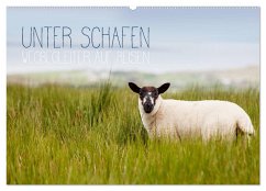 Unter Schafen - Wegbegleiter auf Reisen (Wandkalender 2024 DIN A2 quer), CALVENDO Monatskalender