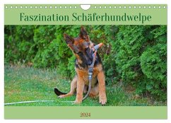Faszination Schäferhundwelpe (Wandkalender 2024 DIN A4 quer), CALVENDO Monatskalender