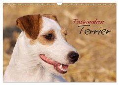 Faszination Terrier (Wandkalender 2024 DIN A3 quer), CALVENDO Monatskalender - Gerlach, Nadine