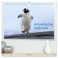 Antarktische Halbinsel (hochwertiger Premium Wandkalender 2024 DIN A2 quer), Kunstdruck in Hochglanz - Oberholzer, David