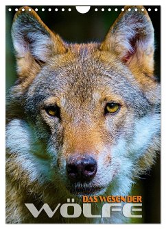 Das Wesen der Wölfe (Wandkalender 2024 DIN A4 hoch), CALVENDO Monatskalender