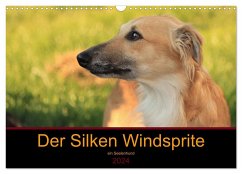 Der Silken Windsprite - ein Seelenhund (Wandkalender 2024 DIN A3 quer), CALVENDO Monatskalender - Alexandra Wais, Sabine