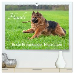 Hunde - Beste Freunde der Menschen (hochwertiger Premium Wandkalender 2024 DIN A2 quer), Kunstdruck in Hochglanz