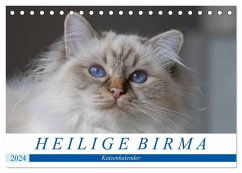 Heilige Birma Katzenkalender (Tischkalender 2024 DIN A5 quer), CALVENDO Monatskalender
