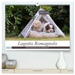 Lagotto Romagnolo - Spiel und Spaß in der Welpenzeit (hochwertiger Premium Wandkalender 2024 DIN A2 quer), Kunstdruck in Hochglanz - Teßen, Sonja
