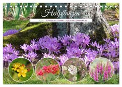 Heilpflanzen - Schätze im Garten (Tischkalender 2024 DIN A5 quer), CALVENDO Monatskalender - Kruse, Gisela