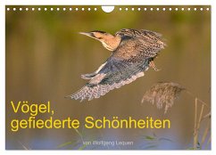 Vögel, Gefiederte Schönheiten (Wandkalender 2024 DIN A4 quer), CALVENDO Monatskalender - Lequen, Wolfgang