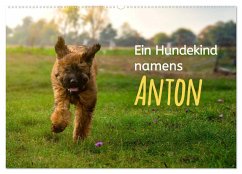 Ein Hundekind namens Anton (Wandkalender 2024 DIN A2 quer), CALVENDO Monatskalender