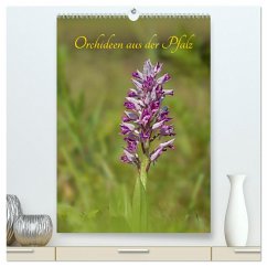 Orchideen aus der Pfalz (hochwertiger Premium Wandkalender 2024 DIN A2 hoch), Kunstdruck in Hochglanz